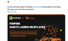 Bitlayer 生態(tài)項目盤點