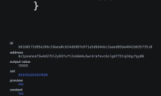 從半同質(zhì)化資產(chǎn)角度看銘文