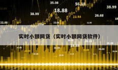 實(shí)時(shí)小額網(wǎng)貸（實(shí)時(shí)小額網(wǎng)貸軟件）