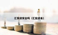 匯投資安全嗎（匯投資本）