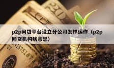 p2p網貸平臺設立分公司怎樣運作（p2p網貸機構啥意思）