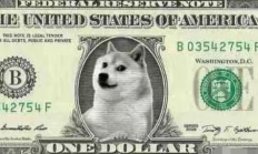 狗狗幣交易手續費,十年后狗狗幣能漲到100元嗎