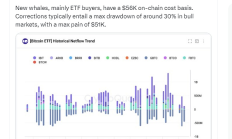 加密貨幣分析師表示：比特幣 ETF 需求可能會上升