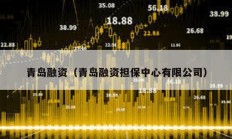 青島融資（青島融資擔(dān)保中心有限公司）