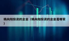 楊向陽投資的企業(yè)（楊向陽投資的企業(yè)是哪家）