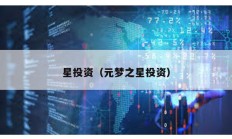 星投資（元夢(mèng)之星投資）
