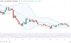 ChainLink價(jià)格走勢(shì),chainlink價(jià)格預(yù)測(cè)