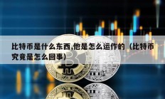 比特幣是什么東西,他是怎么運作的（比特幣究竟是怎么回事）