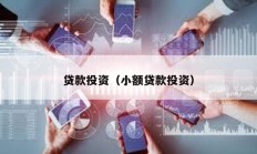 貸款投資（小額貸款投資）
