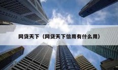 網貸天下（網貸天下信用有什么用）