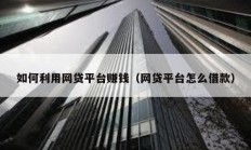 如何利用網貸平臺賺錢（網貸平臺怎么借款）