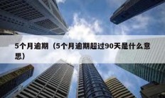 5個月逾期（5個月逾期超過90天是什么意思）