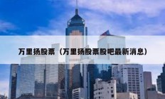 萬里揚股票（萬里揚股票股吧最新消息）