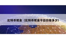 比特幣現金（比特幣現金今日價格多少）