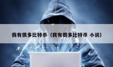 我有很多比特幣（我有很多比特幣 小說）