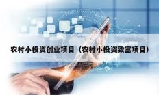 農村小投資創業項目（農村小投資致富項目）