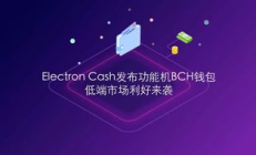 bch在線錢包,blockchain錢包中文版