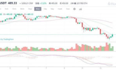 eos價格 柚子,EOS柚子最高什么價位