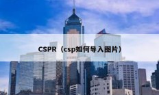 CSPR（csp如何導入圖片）