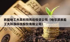辰能哈工大高科技風(fēng)險(xiǎn)投資公司（哈爾濱辰能工大環(huán)保科技股份有限公司）