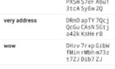 狗幣錢包慢,狗狗幣錢包app下載