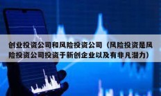 創業投資公司和風險投資公司（風險投資是風險投資公司投資于新創企業以及有非凡潛力）