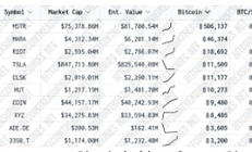 觀點(diǎn)：2030年或有四分之一標(biāo)普500公司持有BTC