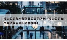 投資公司和小額貸款公司的區(qū)別（投資公司和小額貸款公司的區(qū)別在哪）