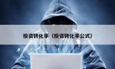 投資轉化率（投資轉化率公式）