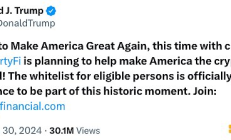 深扒特朗普家族支持的WLF：疑似OEM 幕后操盤人是誰