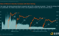 為什么說2024年將是比特幣之年？