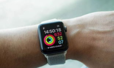 watchonly錢包,paywatch手表下載app