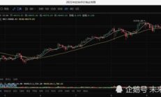 用比特幣買披薩的人,天價披薩比特幣的一個故事