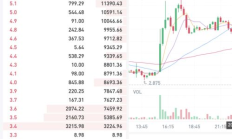 kine幣價格,雙旗幣價格表