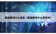 股指期貨什么意思（股指期貨什么意思呀）