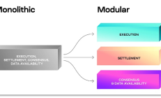 模塊化區塊鏈「分工」擴容  誰是下一個TIA？