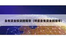 自有資金投資回報率（項目自有資金回報率）