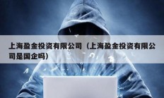 上海盈金投資有限公司（上海盈金投資有限公司是國(guó)企嗎）