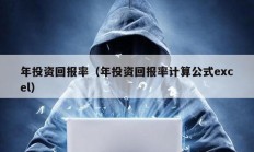 年投資回報率（年投資回報率計算公式excel）