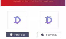 法定數(shù)字錢包,數(shù)字人民幣個人錢包限額類別