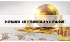 融資信用證（融資信用證可以作為資本金嗎）