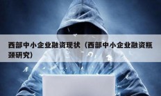 西部中小企業融資現狀（西部中小企業融資瓶頸研究）