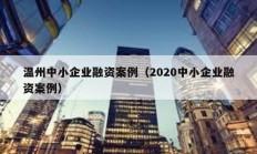 溫州中小企業融資案例（2020中小企業融資案例）