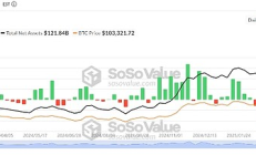 現貨比特幣ETF流入量下降 但BTC鯨魚活動預示牛市加速