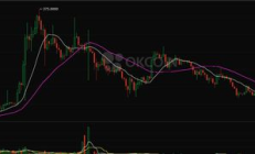 萊特幣 價格曲線,萊特幣價格今日行情