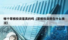 哪個(gè)草根投資是真的嗎（草根投資現(xiàn)在什么情況）