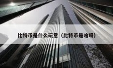 比特幣是什么玩意（比特幣是啥呀）