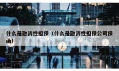 什么是融資性擔保（什么是融資性擔保公司保函）