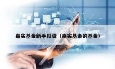 嘉實基金新手投資（嘉實基金的基金）