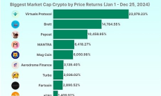 Coingecko：2024年領漲加密市場的前二十大代幣一覽